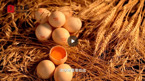 &#20048;&#40060;&#32593;&#39029;&#29256;&#30331;&#24405;&#20837;&#21475;&#45;&#20048;&#40060;&#40;&#20013;&#22269;&#41;